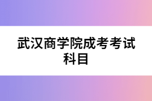 武汉商学院成考考试科目