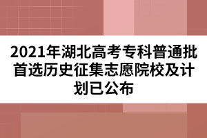 2021年湖北高考专科普通批首选历史征集志愿院校及计划已公布