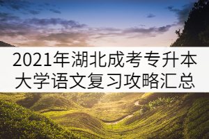 2021年湖北成人高考专升本大学语文复习攻略汇总