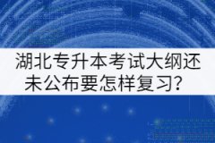 2022年湖北专升本考试大纲还未公布要怎样复习？