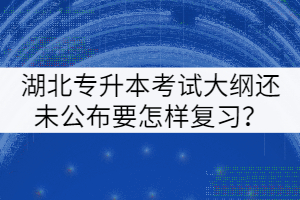 2022年湖北专升本考试大纲还未公布要怎样复习？