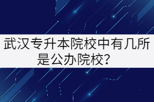 武汉专升本院校中有几所是公办院校？