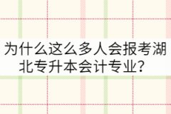 为什么这么多人会报考湖北专升本会计专业？