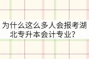 为什么这么多人会报考湖北专升本会计专业？