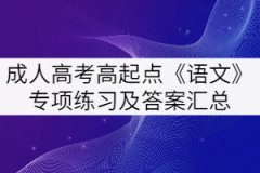 2021年湖北成人高考高起点《语文》专项练习及答案汇总