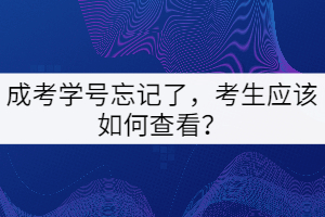 成考学号忘记了，考生应该如何查看？