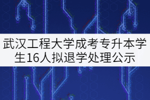 武汉工程大学成考专升本前置专科学历资格清查学生16人拟退学处理公示