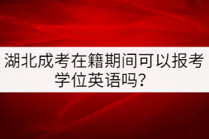 湖北成考在籍期间可以报考学位英语吗？