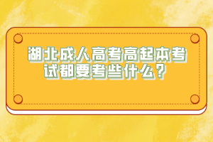 湖北成人高考高起本考试都要考些什么？