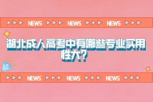 湖北成人高考中有哪些专业实用性大？