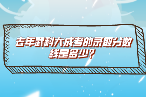 去年武科大成考的录取分数线是多少？