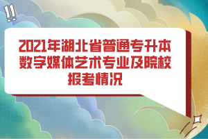 2021年湖北省普通专升本数字媒体艺术专业及院校报考情况