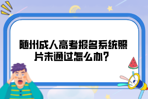 随州成人高考报名系统照片未通过怎么办？