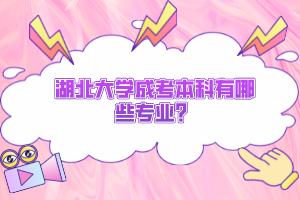 湖北大学成考本科有哪些专业？