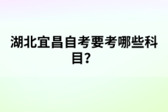 湖北学位英语考试题型有哪些？