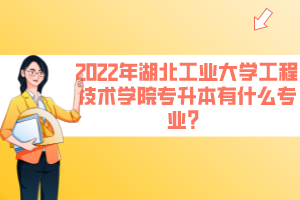 2022年湖北工业大学工程技术学院专升本有什么专业？