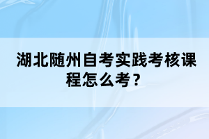 湖北随州自考实践考核课程怎么考？