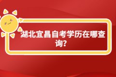 湖北宜昌自考学历在哪查询？