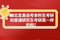 湖北宜昌自考本科生考研和普通研究生考研是一样的吗？