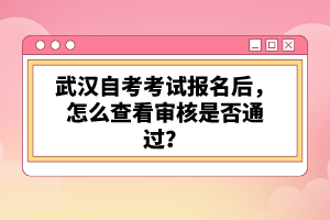 武汉自考考试报名后，怎么查看审核是否通过？