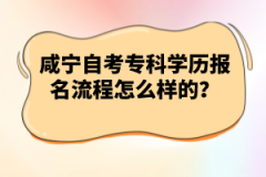 咸宁自考专科学历报名流程怎么样的？